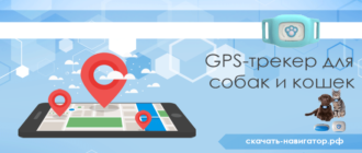 GPS-трекер для собак и кошек